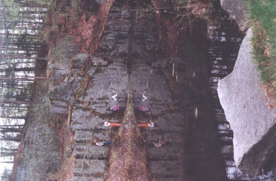 lom2.jpg(44 kb)